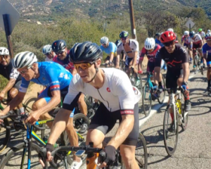 Screenshot_20211114-131937