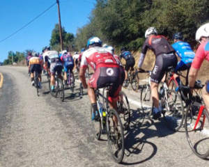 Screenshot_20211114-132043