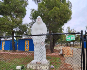 610574393_858808596758636_891591464539312143_n